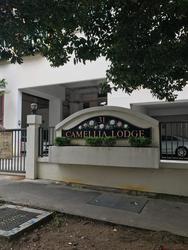 Camellia Lodge (D14), Apartment #228801551